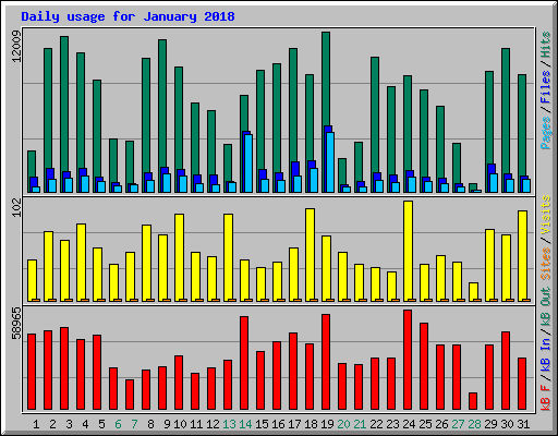 Daily usage for January 2018