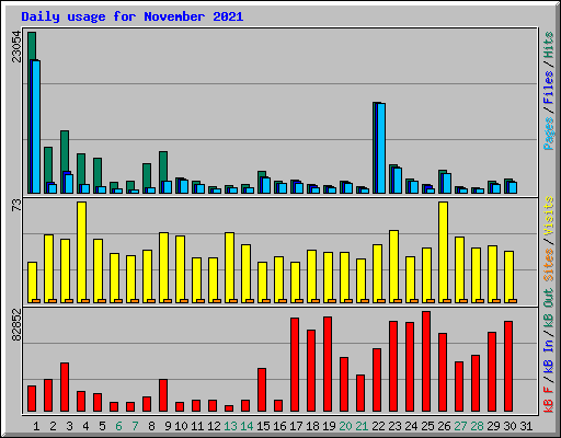 Daily usage for November 2021
