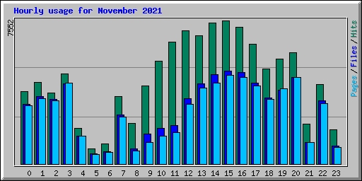 Hourly usage for November 2021
