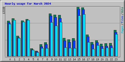 Hourly usage for March 2024