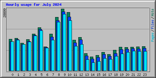 Hourly usage for July 2024